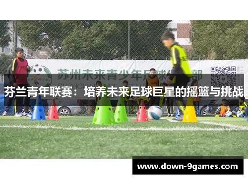 芬兰青年联赛:培养未来足球巨星的摇篮与挑战 芬兰青年联赛:培养未来足球巨星的摇篮与挑战