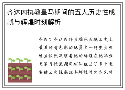 齐达内执教皇马期间的五大历史性成就与辉煌时刻解析
